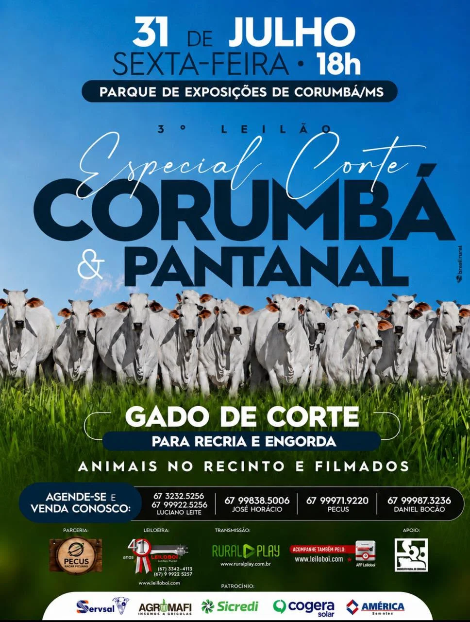 3º Leilão Especial Corte Corumbá e Pantanal