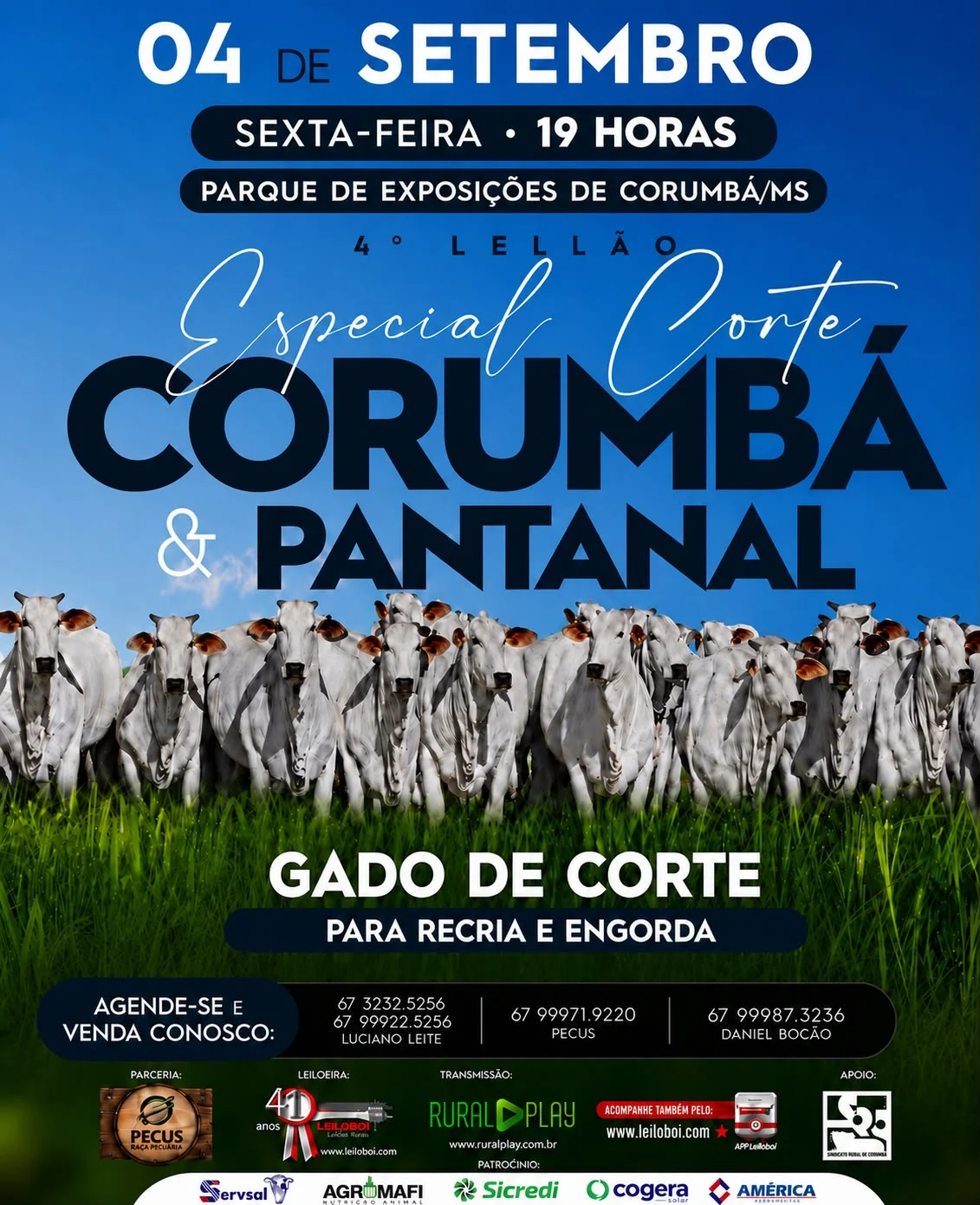 3º Leilão Especial Corte Corumbá e Pantanal