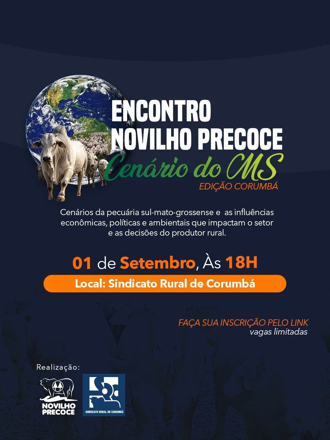 Cenários do MS - Oportunidades com o Novilho Precoce