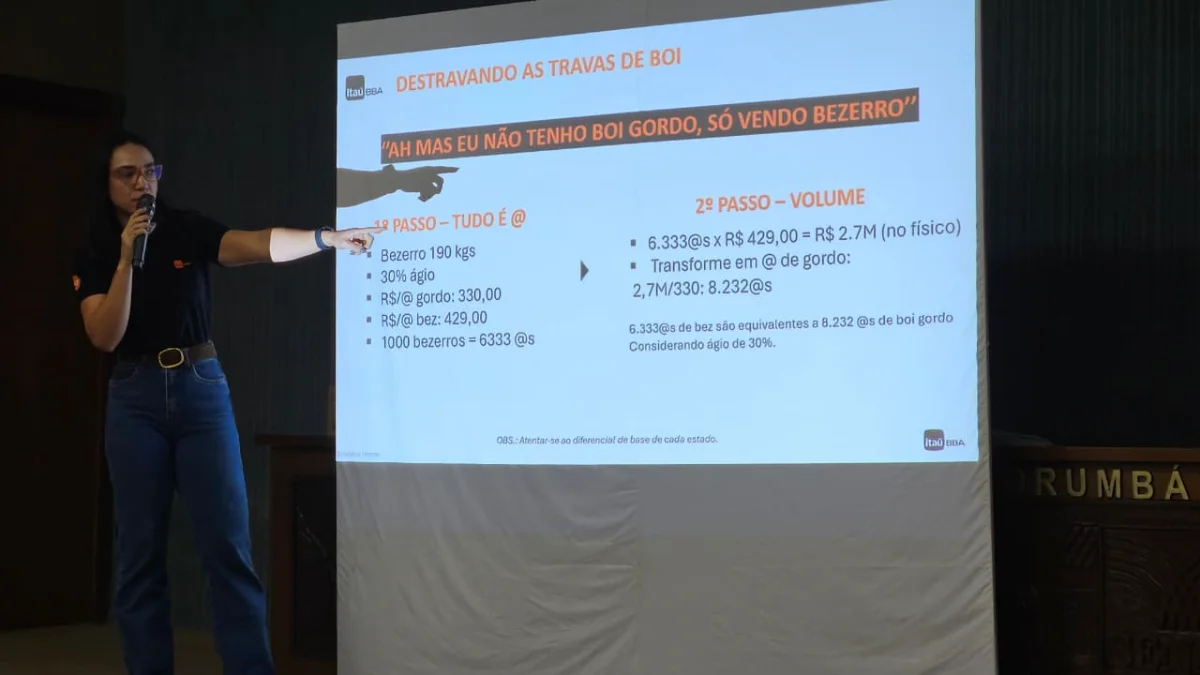 Mercado de Derivativos e oportunidades para pecuaristas