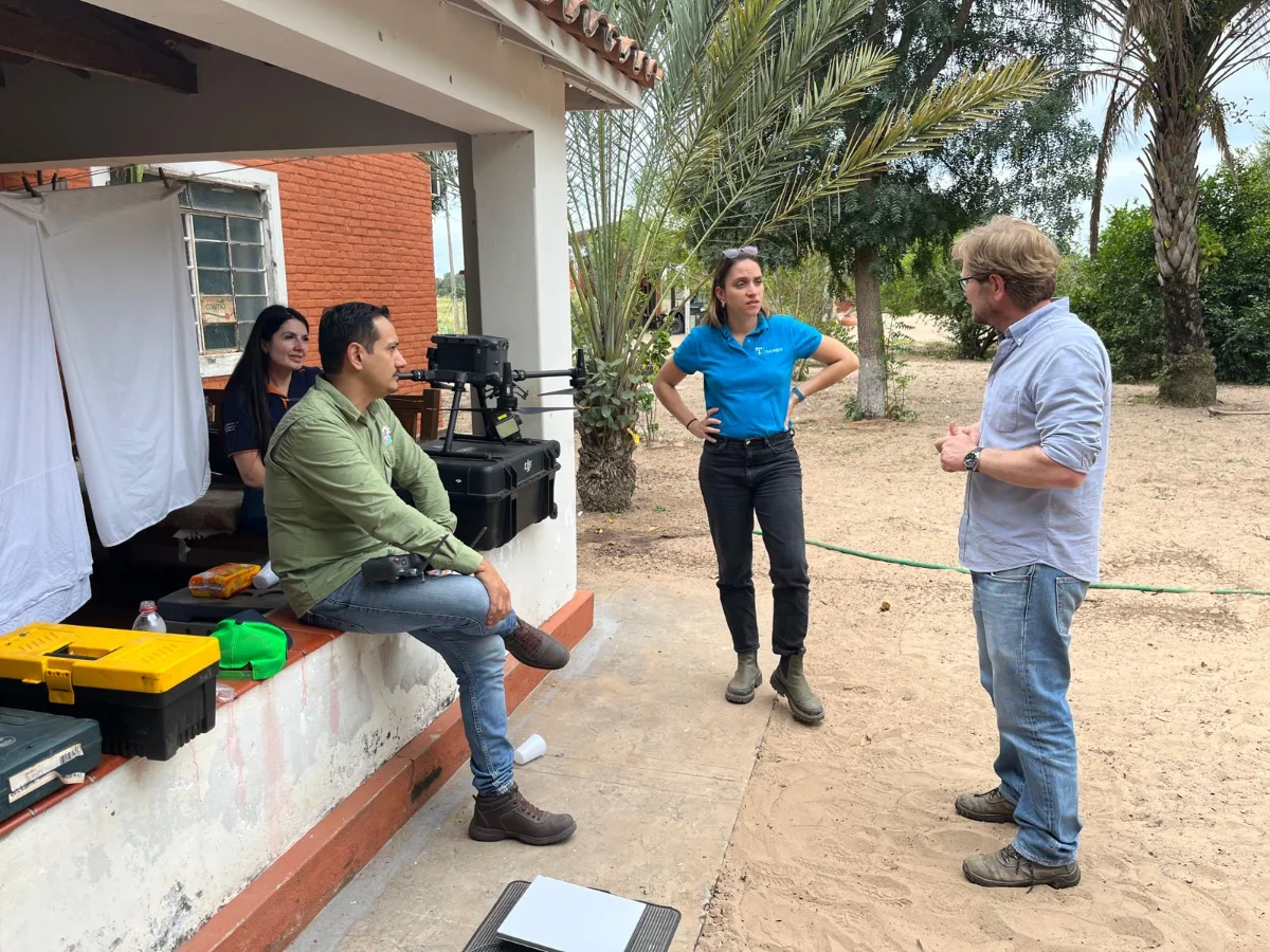 visita